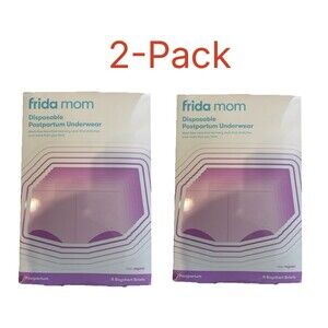 2-Pack Frida Women’s Postpartum Underwear Panties Regular Waist (28-42)in Gray